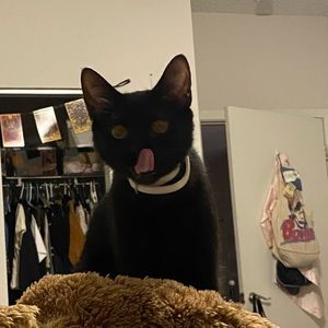 Meet your Posher, Vance